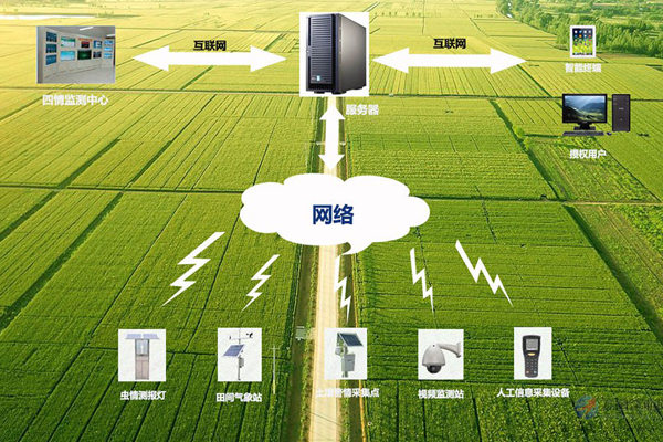 利用物聯(lián)網(wǎng)農(nóng)業(yè)擴(kuò)大食品獲取